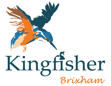kingfisher-brixham